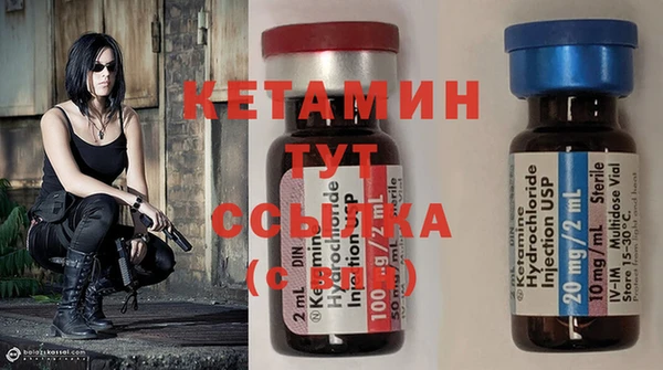 стаф Дмитровск
