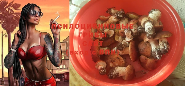 гидропоника Богородицк