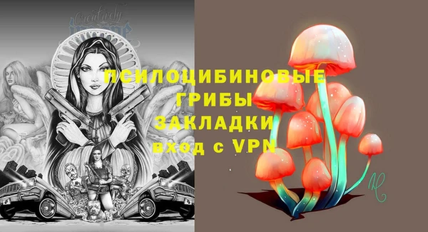 таблы Богородск
