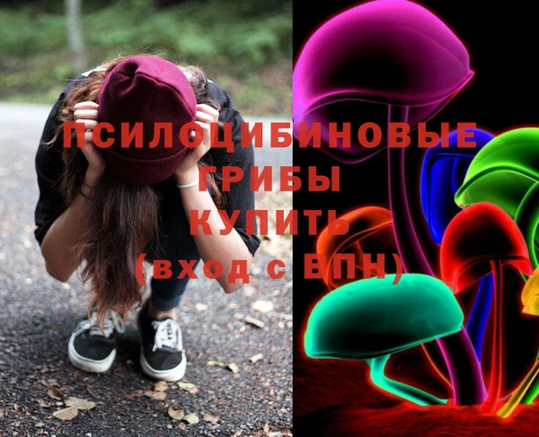 таблы Богородск